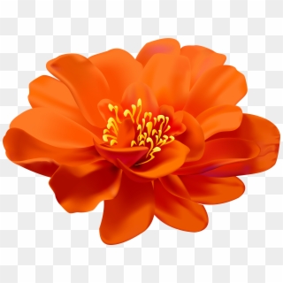 Free Png Download Flower Orange Transparent Png Images - Transparent Flower, Png Download