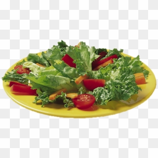 Free Png Download Vegetable Salad Png Png Images Background - Trolls On Non Vegetarian, Transparent Png