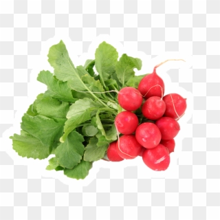 Eaters Learned To Love At Least 80% Of The Snacks As - Bunch Radishes, HD Png Download