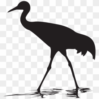 Whooping Crane Overview - Whooping Crane Silhouette, HD Png Download