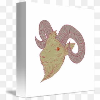 Aries Vector Goat Head - Illustration, HD Png Download