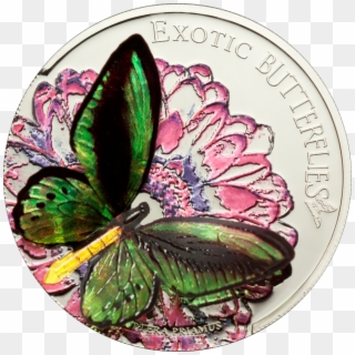 Butterflies - Exotic Butterflies Tokelau, HD Png Download