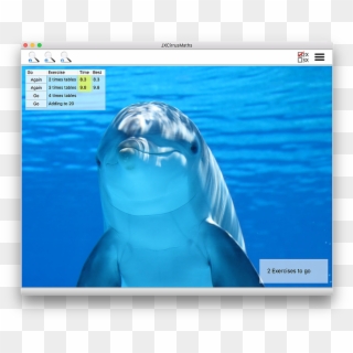 Mathsmacmain - Whales In South Padre Island, HD Png Download