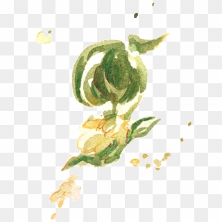 A Preview Of My Tea Leaves Study For A Zine Called - Garden Roses, HD Png Download