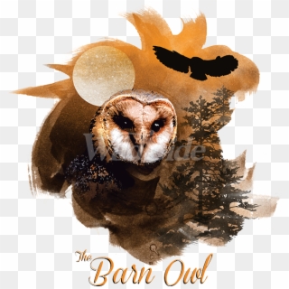 Birds Of Prey Barn Owl - Screech Owl, HD Png Download