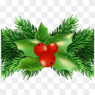 Pictures Of Christmas Holly - Christmas Pine Tree Leaves Png, Transparent Png