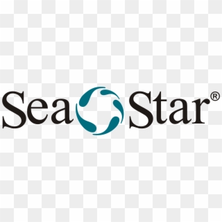 Sea Star Shoes Logo, HD Png Download