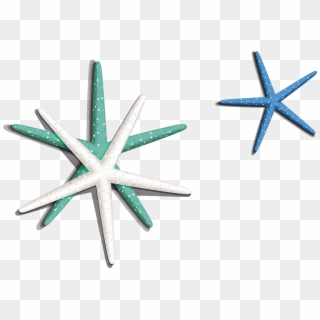 Sea Star Png Image - Starfish, Transparent Png