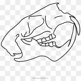 Animal Skull Coloring Page - Line Art, HD Png Download