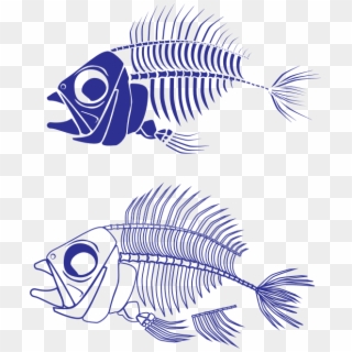 Fish Skeleton - Fish Skeleton Png Transparent, Png Download