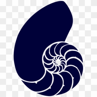 Shell Sea Blue Spiral Navy Dark Animal Fossil - Nautilus Shell Clipart, HD Png Download