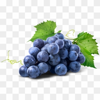 Racimo De Uvas - Wine Grapes, HD Png Download