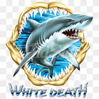 White Death Shark - Акула Рисунок Тату, HD Png Download