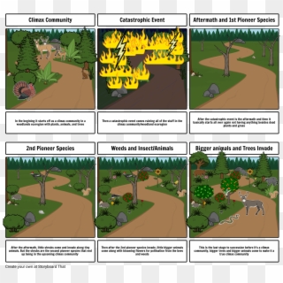 Succession Project - Storyboard, HD Png Download - 1164x1086(#6228174 ...