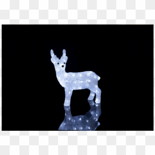 Figurine Crystalo - Reindeer, HD Png Download