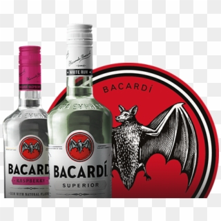 Avid Fans Enter To Win The Ultimate Summer Music Experience - Bacardi Cocktail, HD Png Download