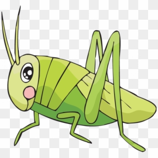 Cricket Insect Drawing, HD Png Download