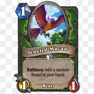 Jeweled Macaw Card - Hearthstone Jeweled Macaw, HD Png Download