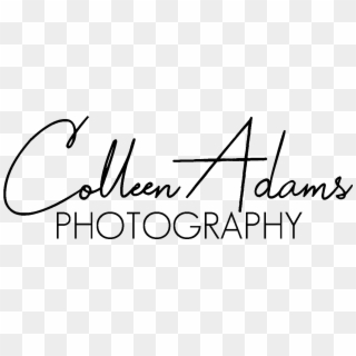 Colleen Adams Photography - Calligraphy, HD Png Download