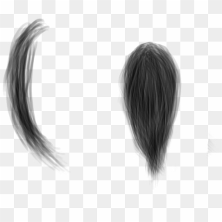 Hair Strands Png - Strand Of Hair Png, Transparent Png