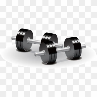 Weight Training Olympic Weightlifting Physical Exercise - Dumbbells Png, Transparent Png