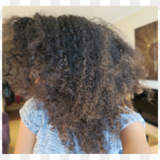 Frizzy Hair = The Cuticle Layer Of Your Hair Is Raised - Afro, HD Png Download