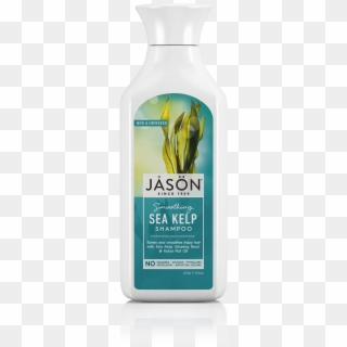 Kelp Png - Share - Shampoo - Jason Sea Kelp Shampoo, Transparent Png