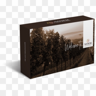 Subscribe To Somm - Spruce, HD Png Download