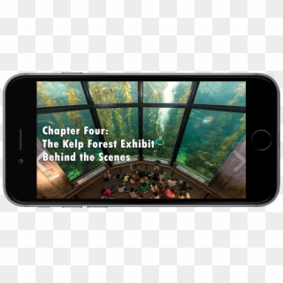 The Kelp Forest Ebook - Daylighting, HD Png Download