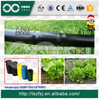Pe Drip Irrigation Water Pipe With Inline Round Dripper - Grass, HD Png Download