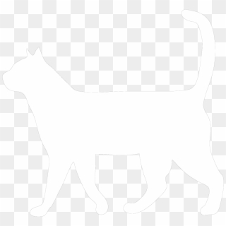 Stop Stressing Meowt - Cat, HD Png Download