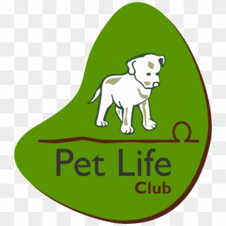 Petlifeclub Creche E Hotel Para Cães Em Guarulhos Hotel, HD Png Download