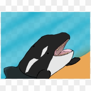 Killer Whale, HD Png Download