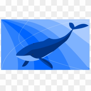 The Blue Whale Baleen Whale Common Bottlenose Dolphin - Blue Whale Malayalam Troll, HD Png Download