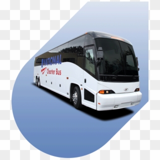 Want To Learn More About What To Expect When You Book - Charter Bus, HD Png Download