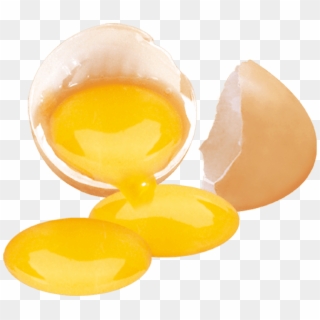 Yolk, Egg, Egg Yolk - Meyer Lemon, HD Png Download