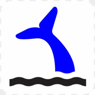 Blue Whale Clipart Light - Whale Watching Icon, HD Png Download