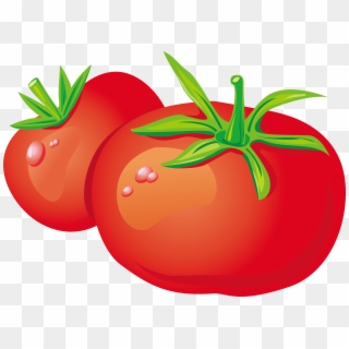 Tomato Plant PNG Transparent For Free Download - PngFind