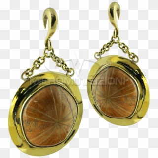Fossil Sea Urchin In Brass Pendant Earrings Ear - Earrings, HD Png Download