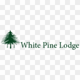 Thank You To All Of Our Sponsors - White Pine, HD Png Download
