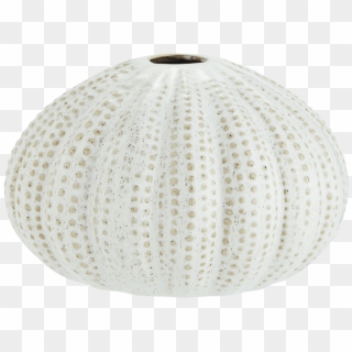 Off White Sea Urchin Vase - Ceiling Fixture, HD Png Download