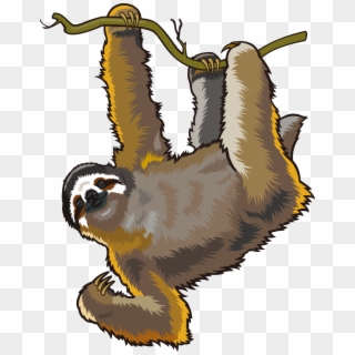 Cute Monkey With Bananas Png Picture - Rainforest Sloth No Background, Transparent Png
