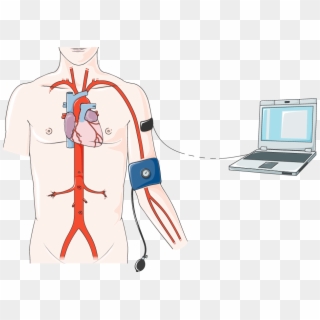 Blood Pressure Measurement - Cardiac Catheterization Procedure, HD Png Download