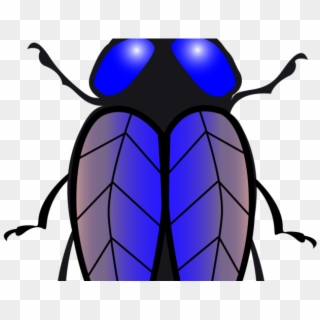 Fly Clipart Beetle - Gambar Vektor Lalat, HD Png Download