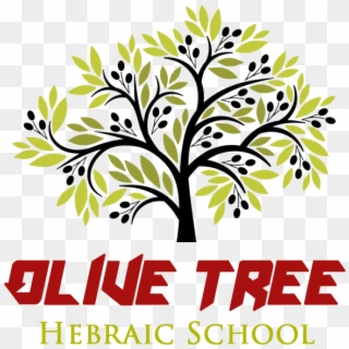 2018 Olive Tree Hebraic School - Easy To Draw Olive Tree, HD Png Download