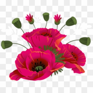 Poppies Sticker - Transparent Remembrance Day Clip Art, HD Png Download