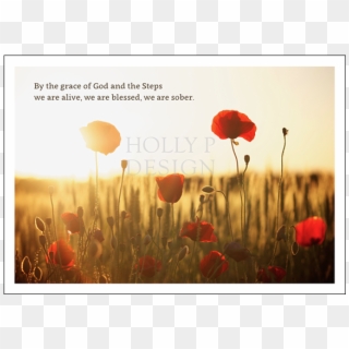 Poppies In The Sun By The Grace Of God And The Steps - Happy Easter Christ Is Risen, HD Png Download