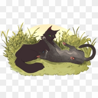 Cinderheart X Hollyleaf As Requested By @galaxy The - Hollyleaf X Cinderheart, HD Png Download