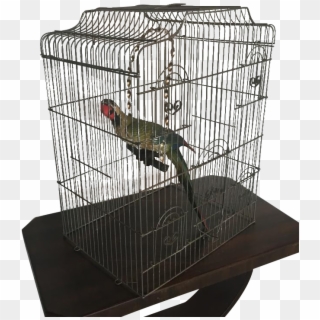 Large Wire Birdcage , Png Download - Cage, Transparent Png