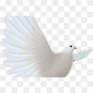 White Dove Transparent Png Clipart Cerebro Pinterest - Hear Png Hd, Png Download